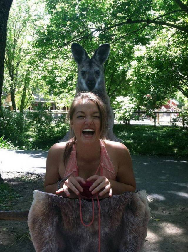 Daily Picdump