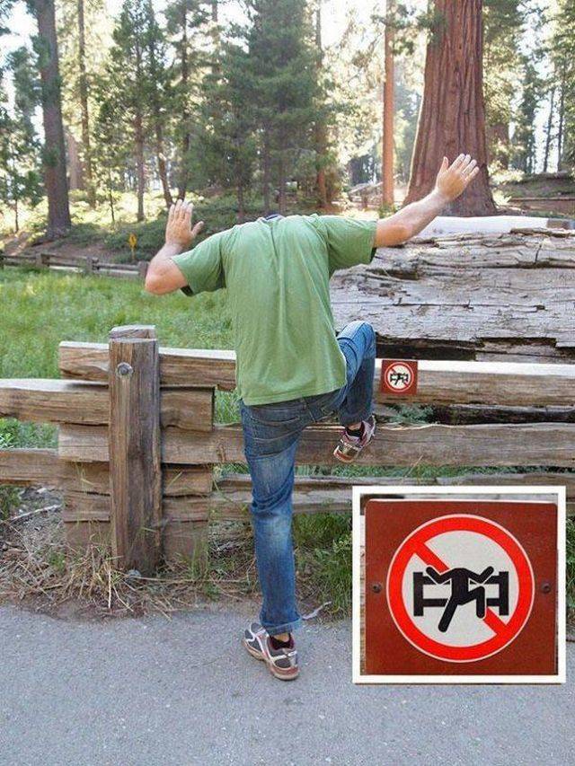 Content Image