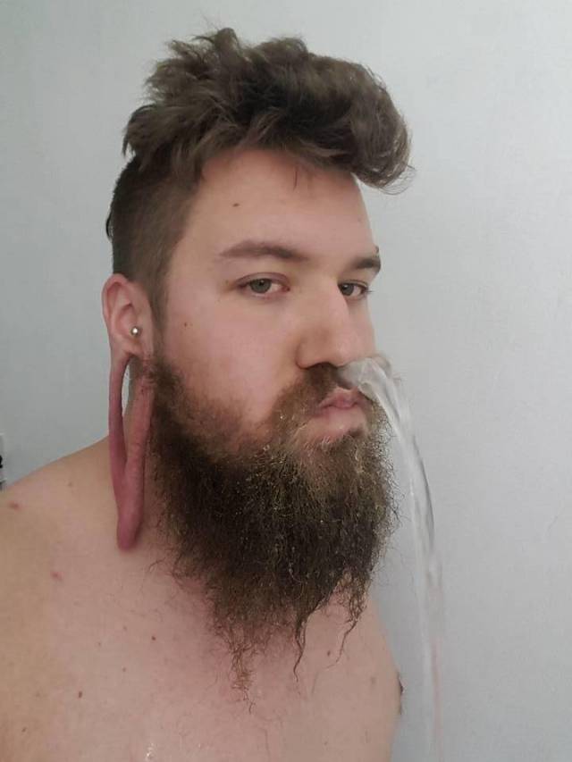 Content Image