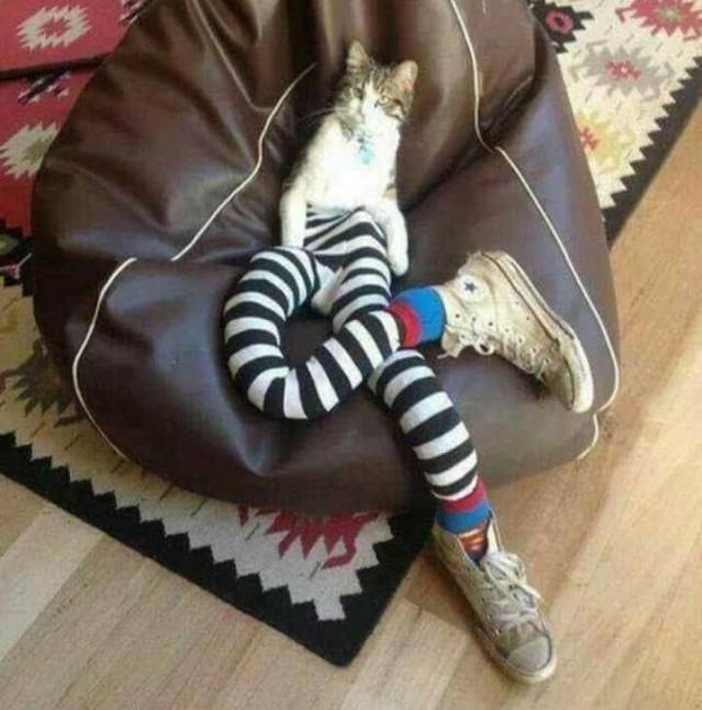 Content Image