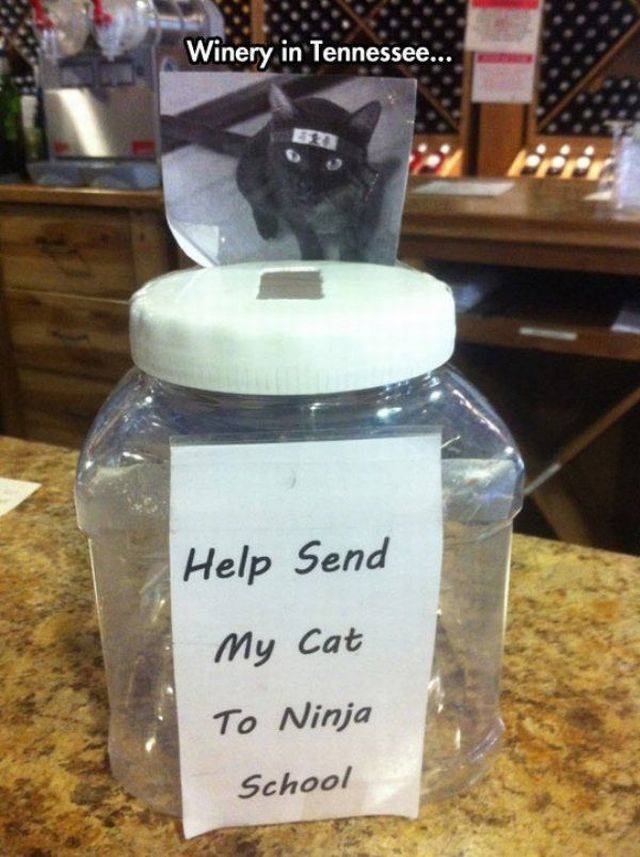 Content Image
