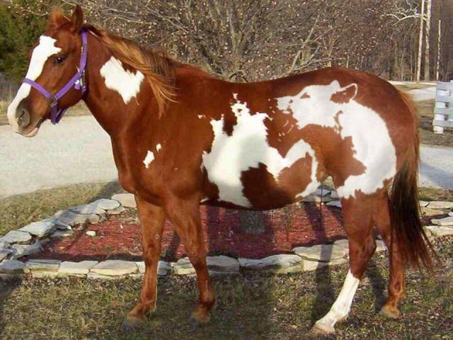 Daily Picdump
