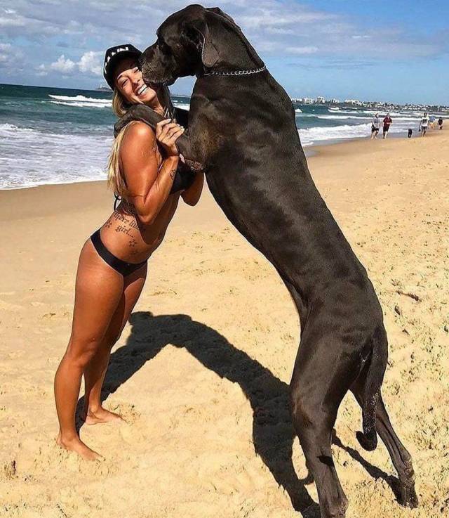 Daily Picdump
