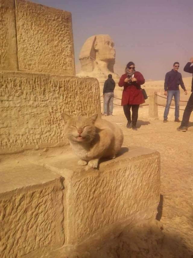 Daily Picdump