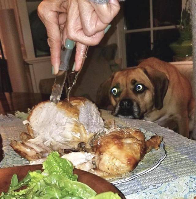 Content Image
