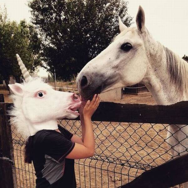 Daily Picdump