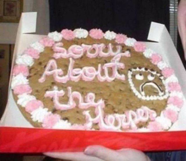 Daily Picdump