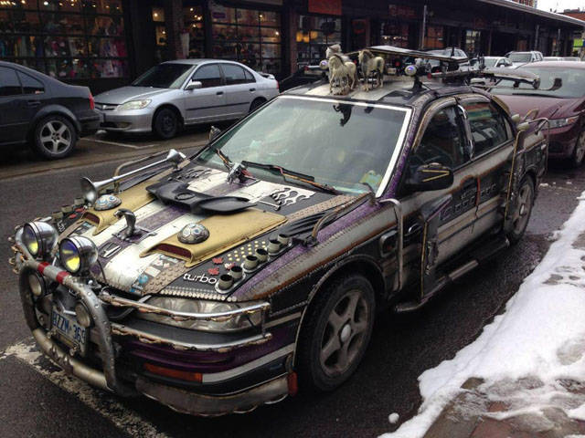 Morning Picdump