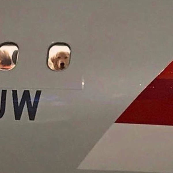 Morning Picdump