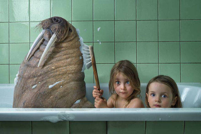 Morning Picdump