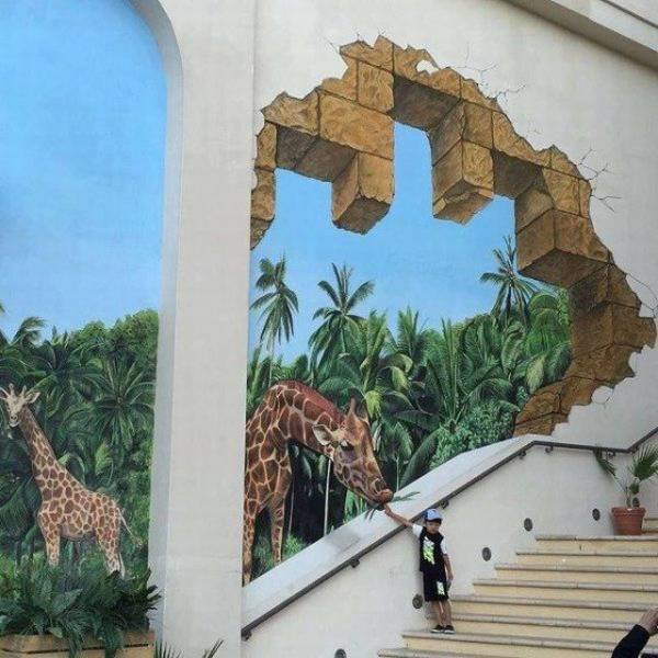 Daily Picdump