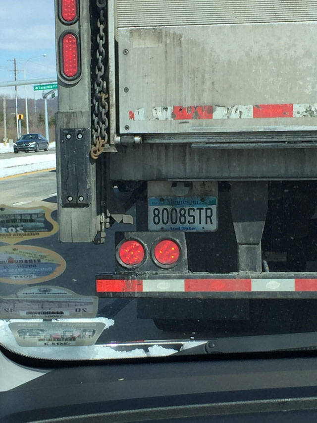 Morning Picdump