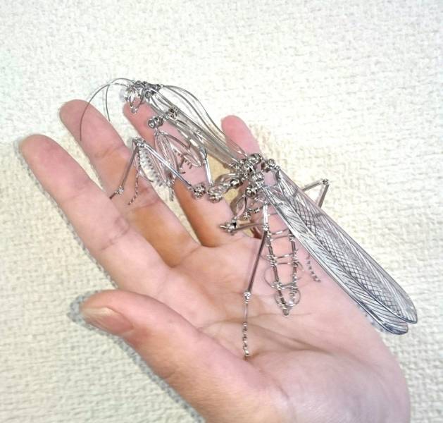 Content Image