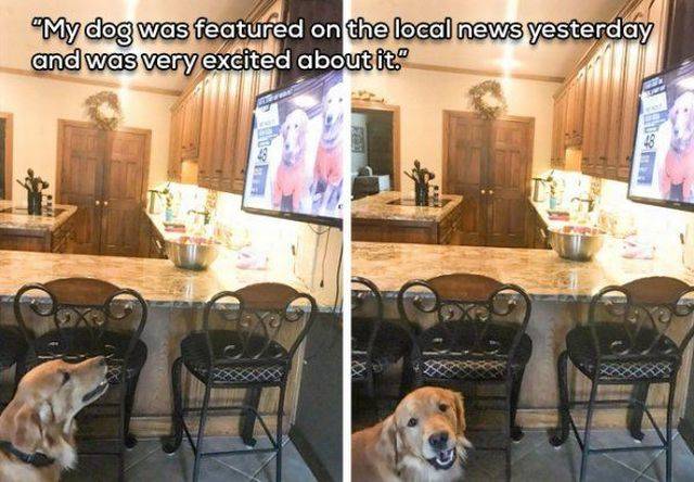 Content Image