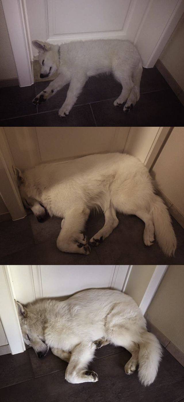 Content Image