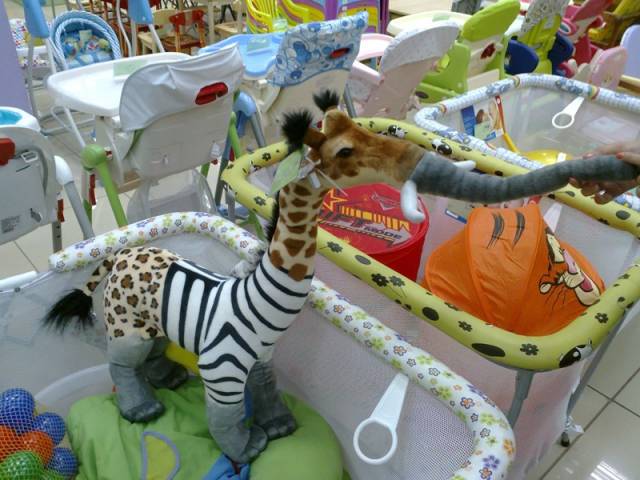 Morning Picdump