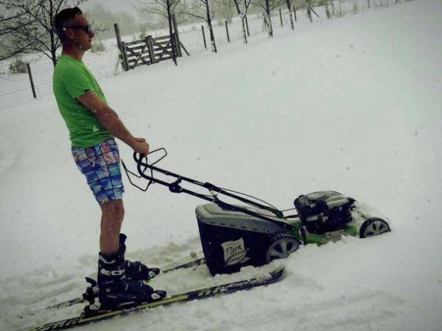 Morning Picdump