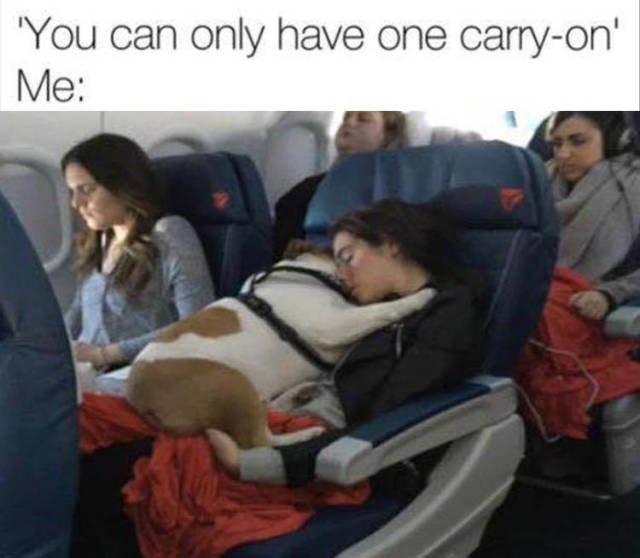 Content Image