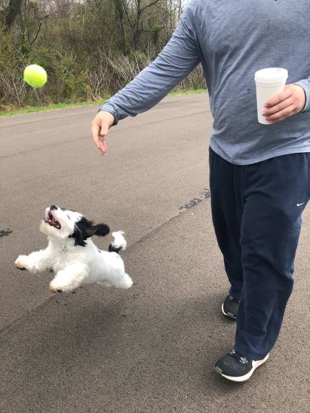 Content Image
