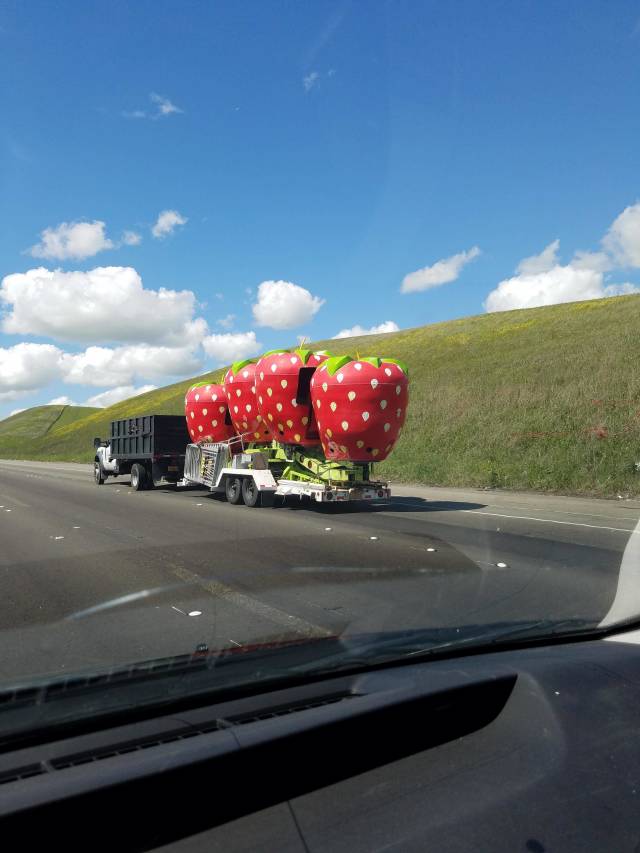 Content Image