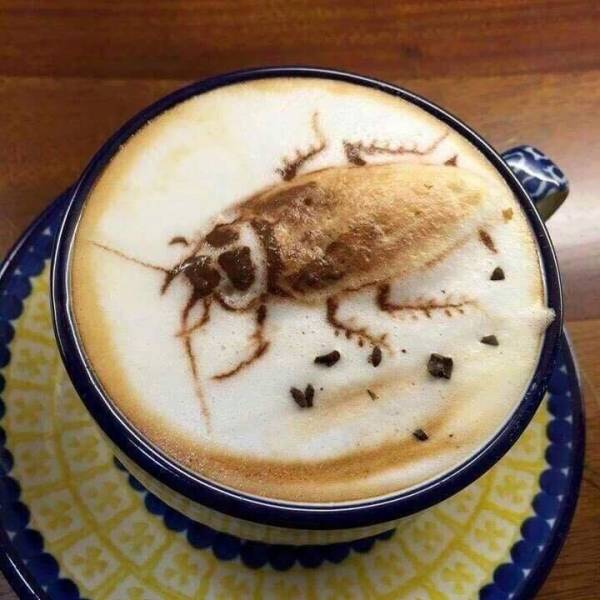 Content Image