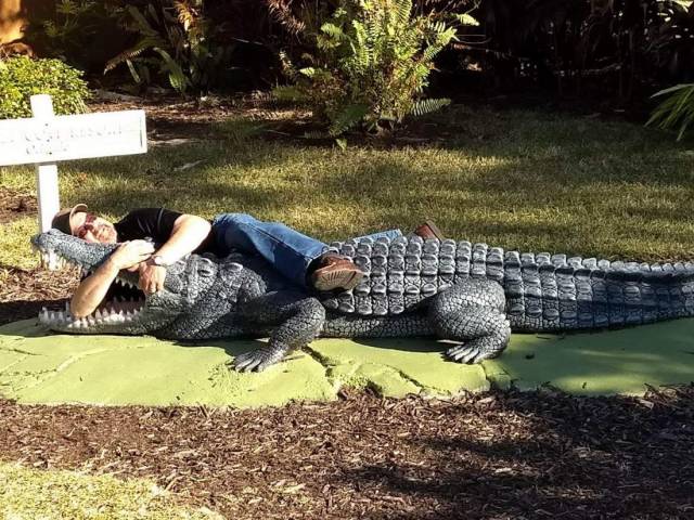 Content Image