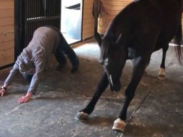 Content Image