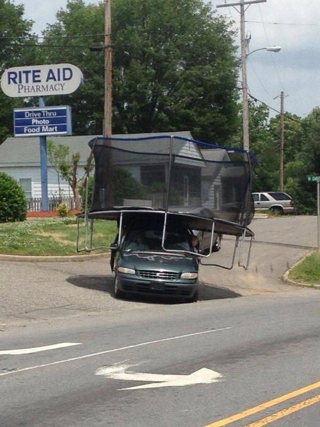 Daily Picdump