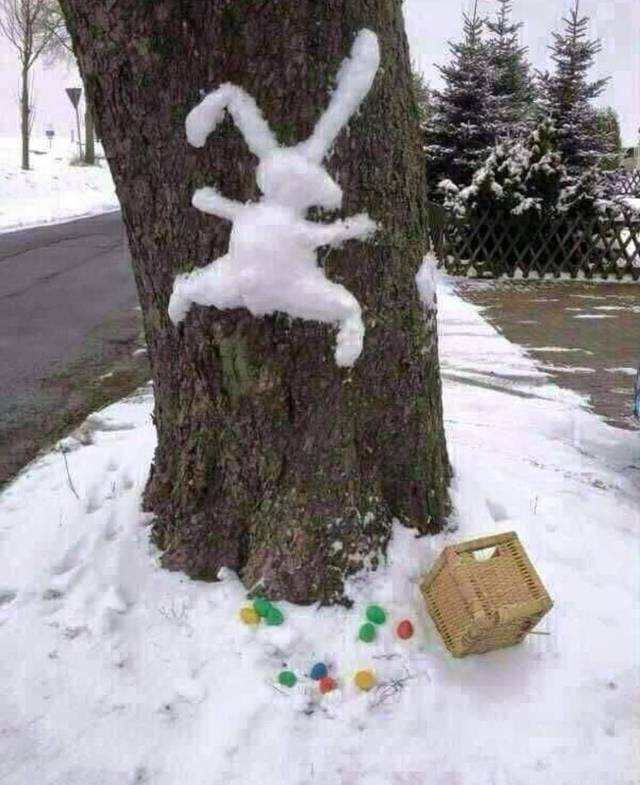 Content Image