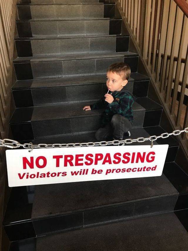 Content Image