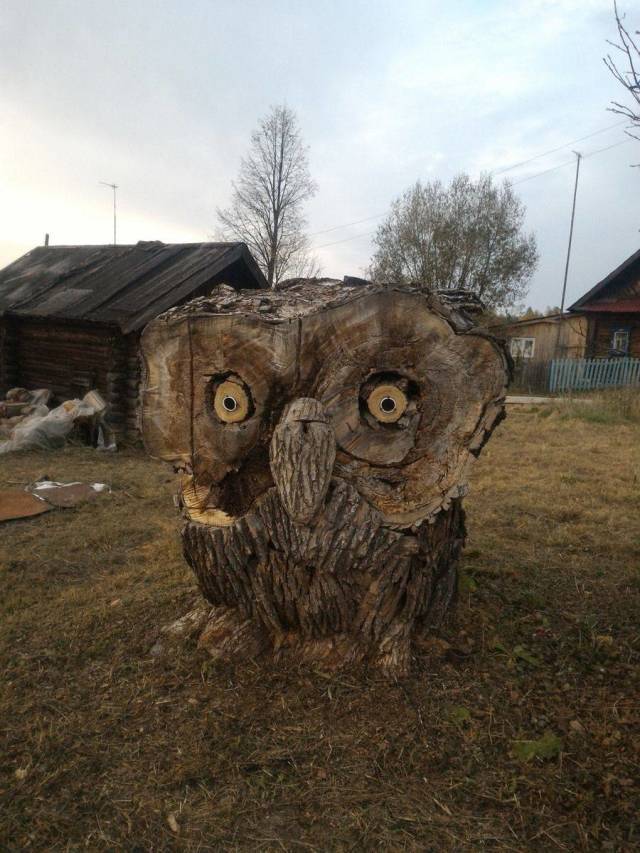 Content Image