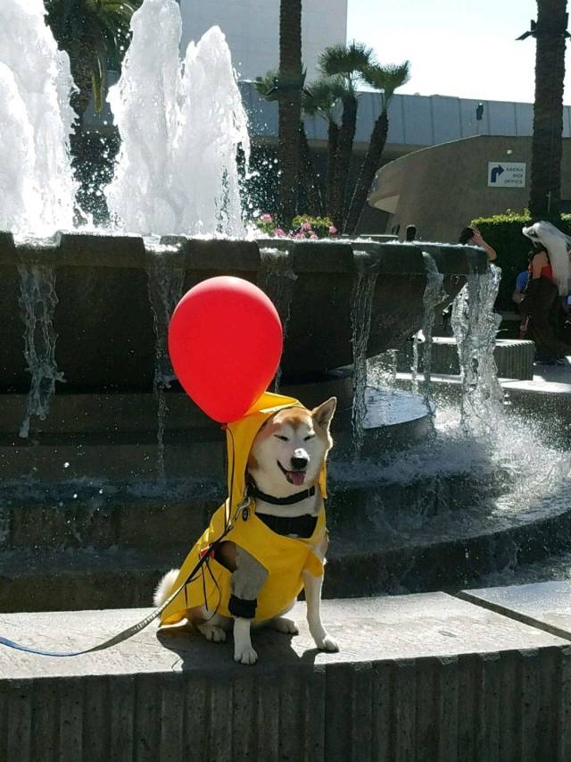 Content Image