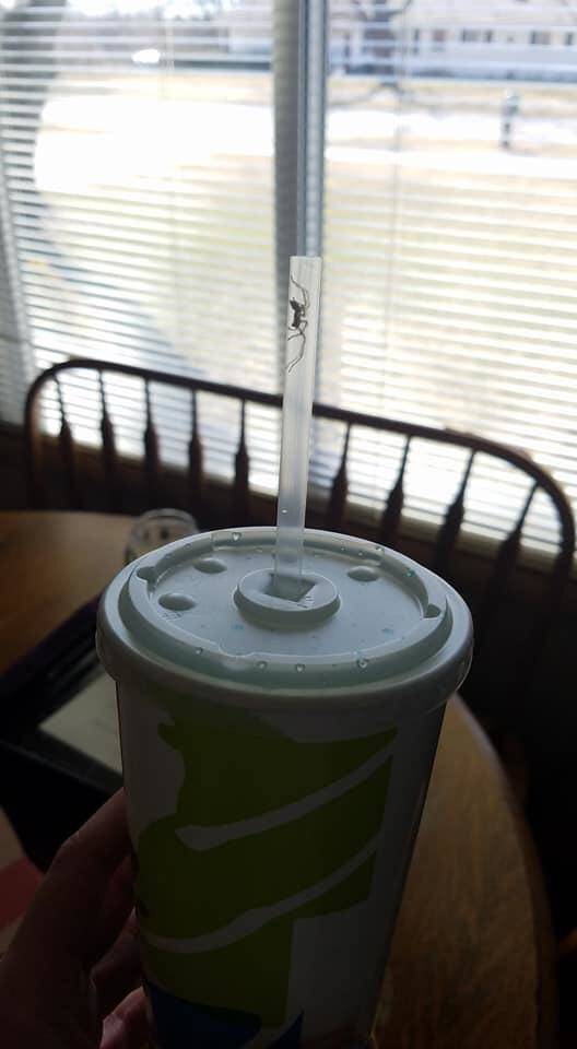 Content Image