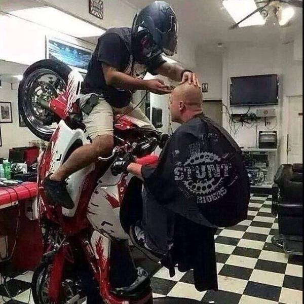 Daily Picdump