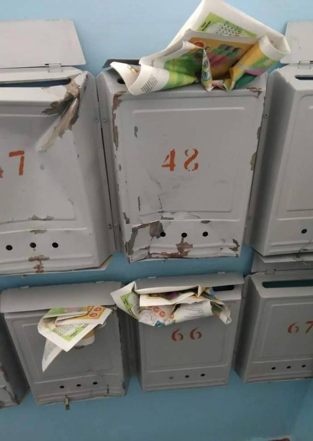 Content Image