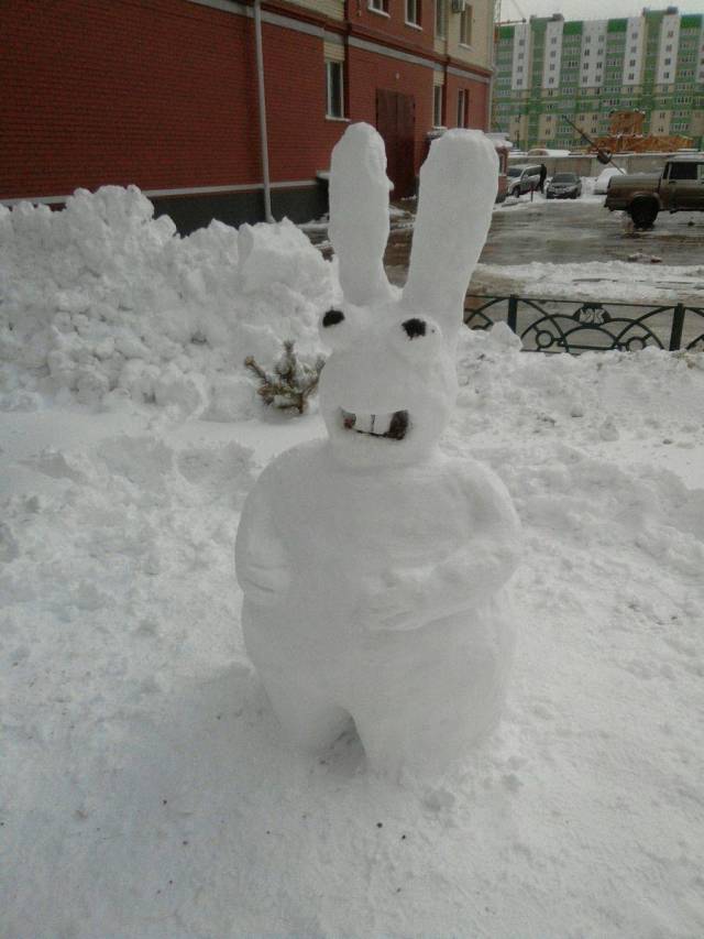 Content Image
