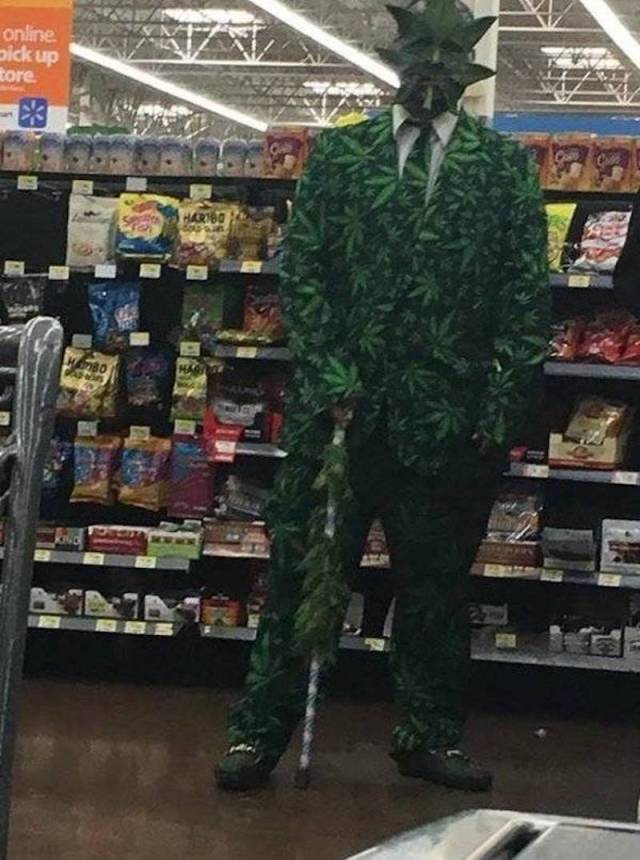 Content Image