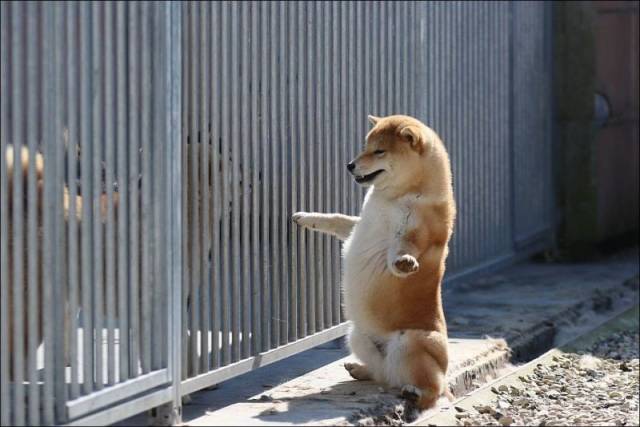 Daily Picdump