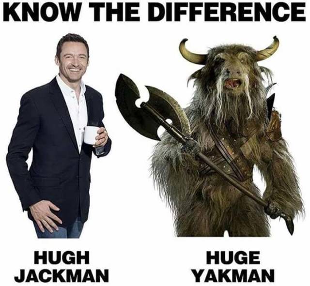 Funny Picdump