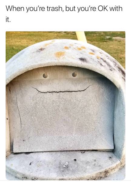 Content Image