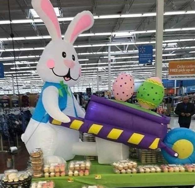Content Image