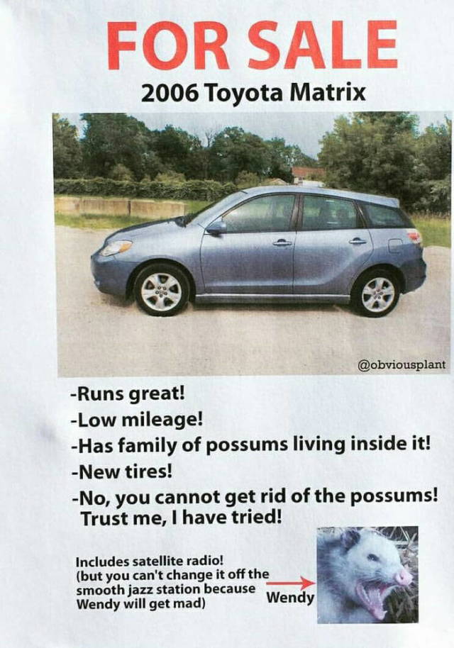 Content Image