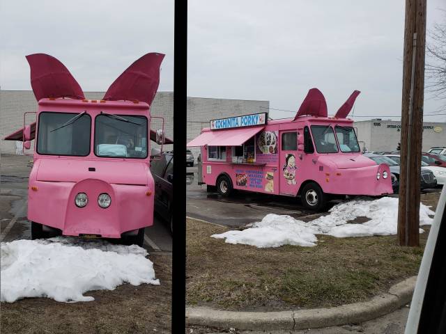Morning Picdump