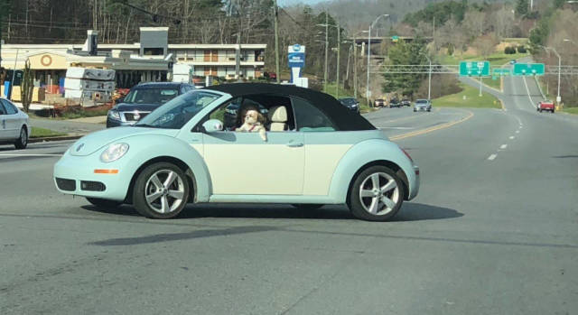 Morning Picdump