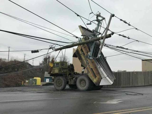 Morning Picdump