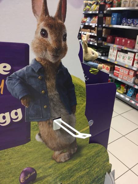 Morning Picdump