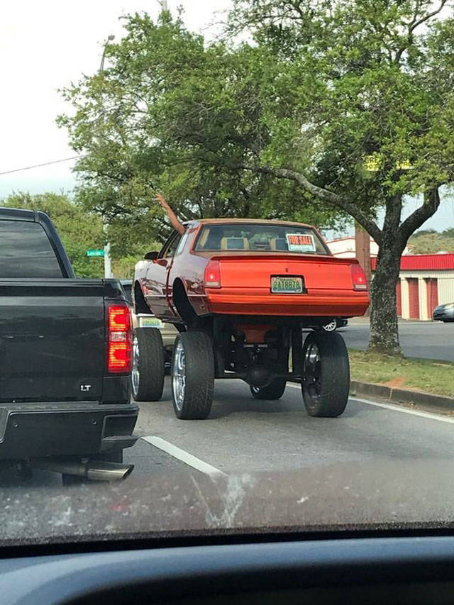 Morning Picdump