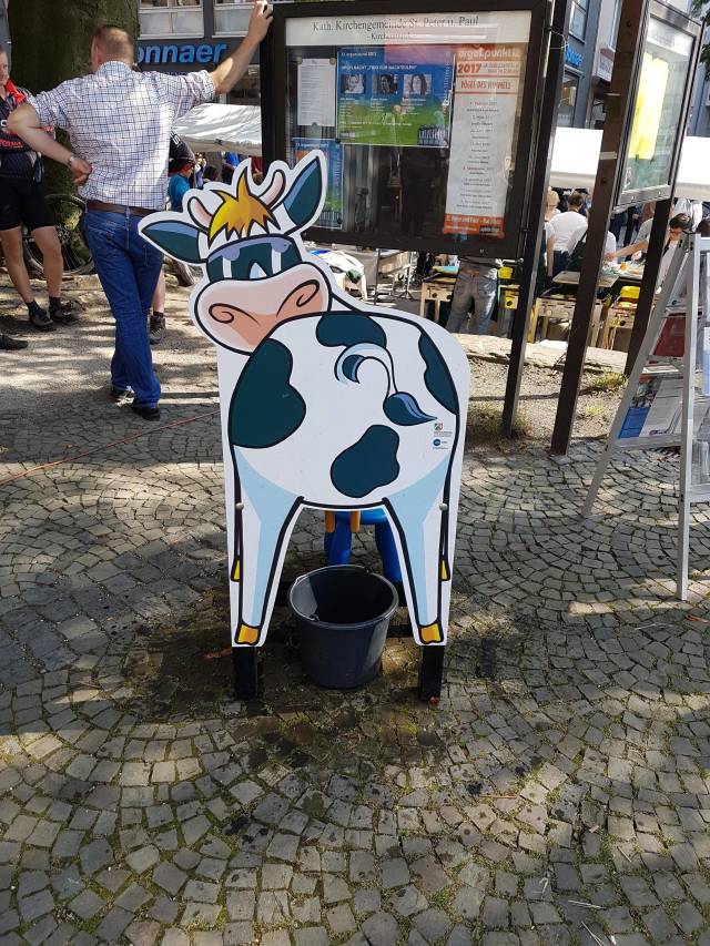 Morning Picdump