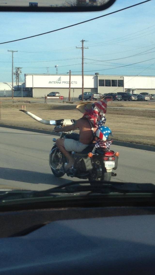 Morning Picdump