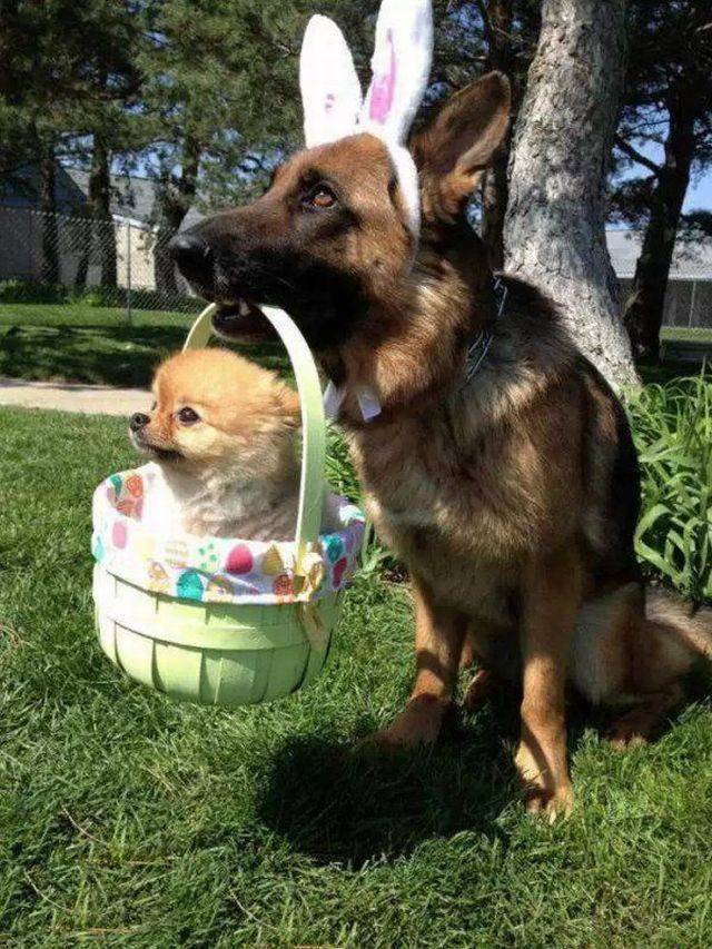 Daily Picdump [WEEKEND EDITION]